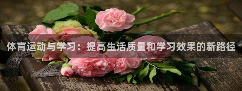 u球体育