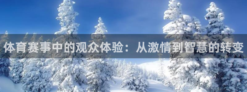 u球体育直播app下载