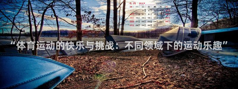 u球体育官网