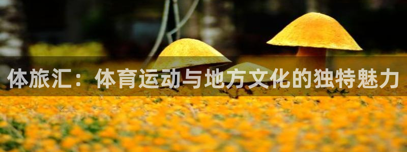u球体育直播