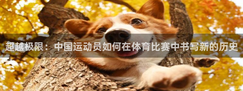 u球体育app官方下载