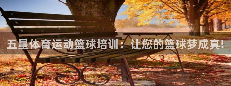 u球体育官网
