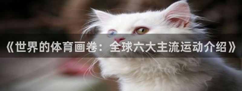 u球体育UFC：《世界的体育画卷：全球六大主流运动介绍》