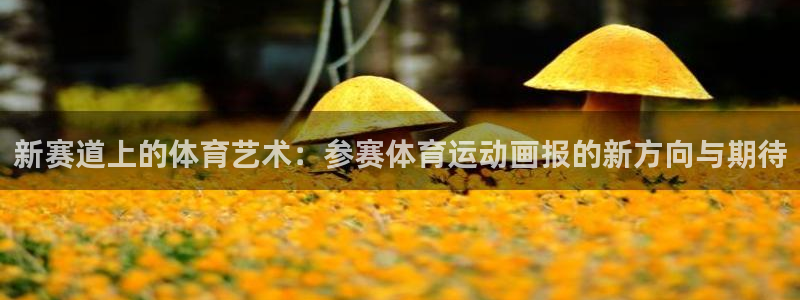 u球体育app官方下载：新赛道上的体育艺术：参赛体育运动画报的新方向与期待