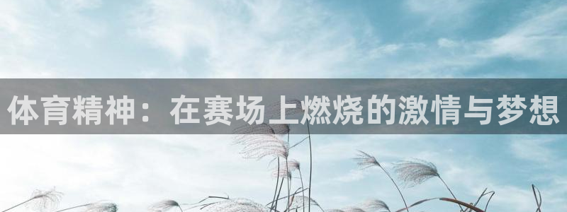 U球体育软件