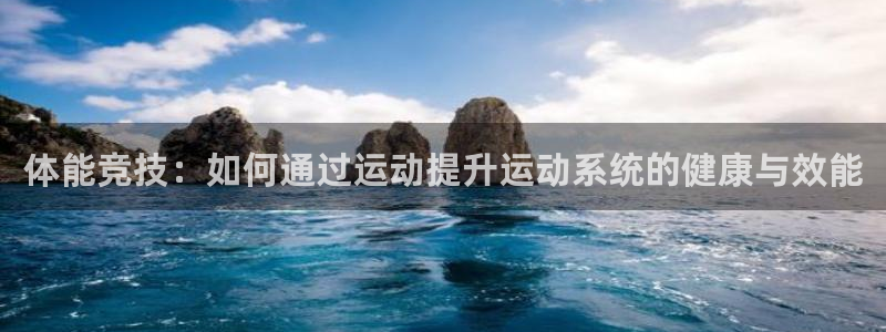 u球体育官网