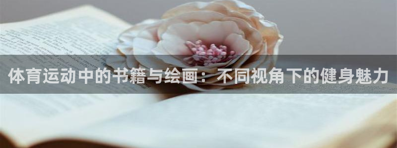 u球体育UFC